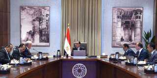 رئيس الوزراء يتابع مع محافظ...