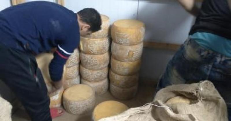 مخالفات تموينية - أرشيفية
