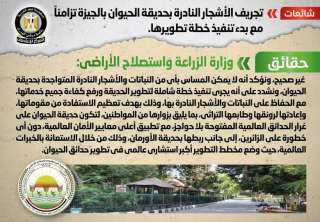 الحكومة تنفى تجريف الأشجار النادرة...