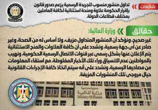 الحكومة تنفى صدور قانون بإقرار...