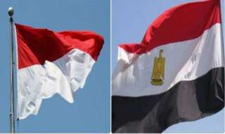 مصر وإندونيسيا تتفقان على أهمية...