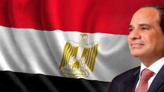 السيسي يعود إلى أرض الوطن...
