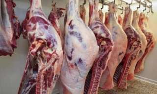 ننشر أسعار اللحوم البلدي اليوم...