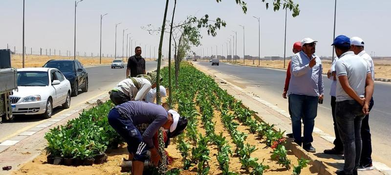 الإسكان: استكمال تطوير الطرق  ومداخل مدينة بدر ضمن خطة شاملة