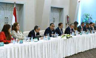وزراء الكهرباء والبترول والتخطيط يستعرضون...