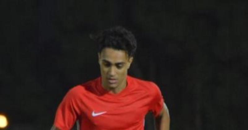 مصطفى البدرى