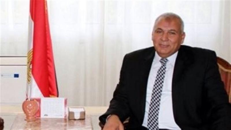 محافظ الوادي الجديد محمد الزملوط