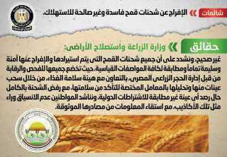 الحكومة تنفى الإفراج عن شحنات...