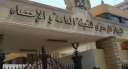 الإحصاء: مصر بها 21 مليون...