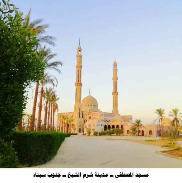 8  مساجد جديدة تحصل على شهادة ضمان الجودة والاعتماد في المجال الدعوي من الفئة ( أ )