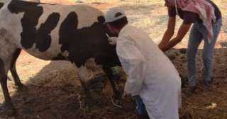 تحصين 367 ألفا و727 رأس...