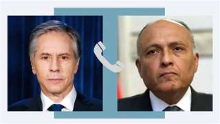 سامح شكري يناقش مع وزير...