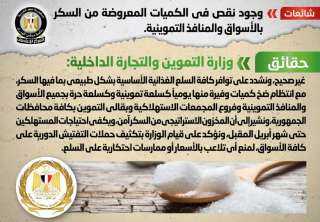 الحكومة تنفى وجود نقص في...