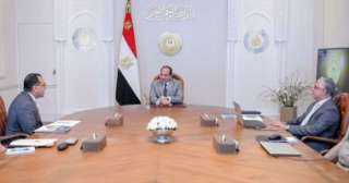 الرئيس السيسى يوجه بمواصلة جذب...