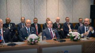 الرئيس السيسي يشارك اليوم بنيودلهي...