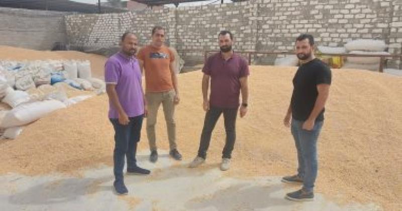 تموين الإسكندرية