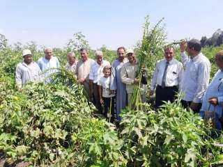 زراعة الشرقية تُنظم يوم حصاد...