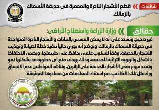 الحكومة تنفى قطع الأشجار النادرة...