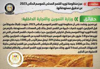 الحكومة تنفى عجز منظومة توريد...