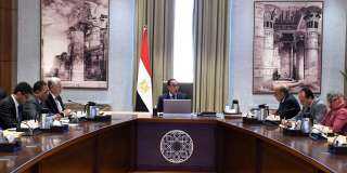 رئيس الوزراء يناقش آليات تحفيز...