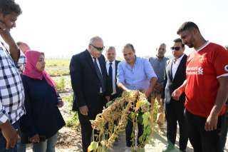 ضمن مشروع استصلاح ألف فدان...