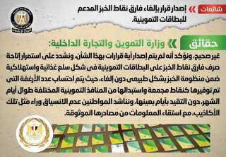 الحكومة تنفى إصدار قرار بإلغاء...