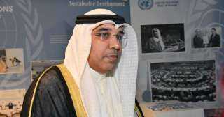 مساعد وزير الخارجية لشؤون المنظمات...