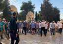 عشرات المستوطنين يقتحمون المسجد الأقصى...