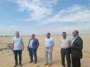 جهود الوحدات المحلية في ملف...