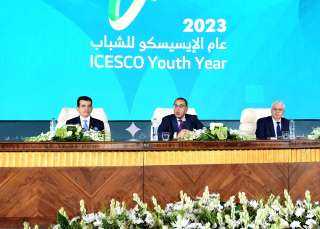 رئيس الوزراء يشارك فى الجلسة...