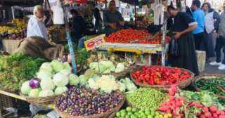 شعبة الخضروات: انخفاض أسعار البصل...
