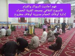 العلماء يتحدثون عن: ”فهم أحاديث...