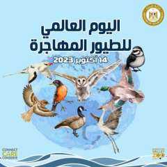 مصر تشارك دول العالم الاحتفال...