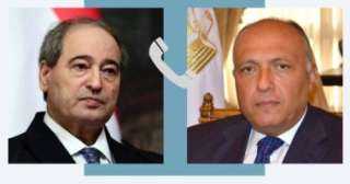 وزير الخارجية: وصول المساعدات الإنسانية...