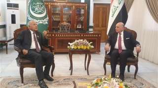 أبو الغيط يبحث مع المسئولين...