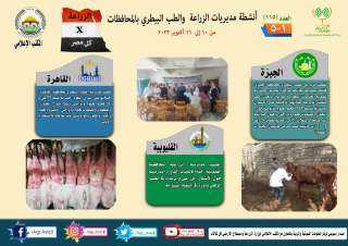 انفوجراف| ”الزراعة في كل مصر”...