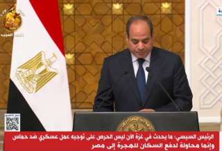 الرئيس السيسي: نرفض تصفية القضية...