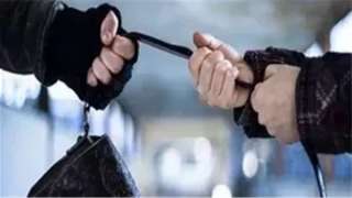 القبض على عاطل تخصص في...