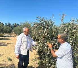 رئيس مركز بحوث الصحراء يتفقد...