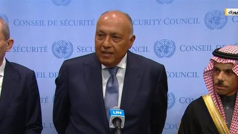 وزير الخارجية