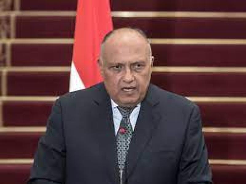 سامح شكرى