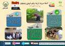 انفوجراف وفيديو| ”الزراعة في كل...