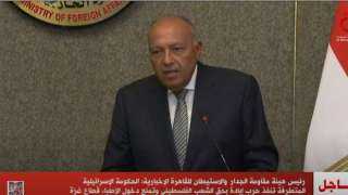 وزير الخارجية: مصر تقدر دور...