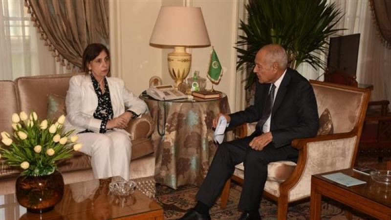 أحمد أبو الغيط الأمين العام لجامعة الدول العربية