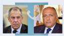 سامح شكري يؤكد لـ لافروف...