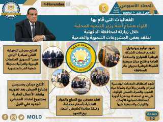 بالإنفوجراف ”التنمية المحلية × أسبوع”