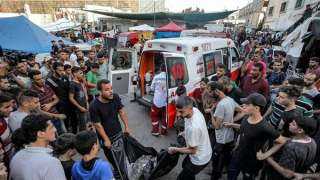 الصحة الفلسطينية: الكلاب الضالة تنهش...