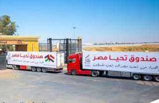 إنفوجراف.. محتويات قافلة مساعدات صندوق...