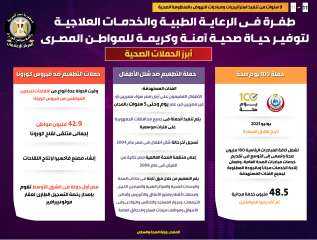 إنفوجراف..9 سنوات من تنفيذ استراتيجيات...
