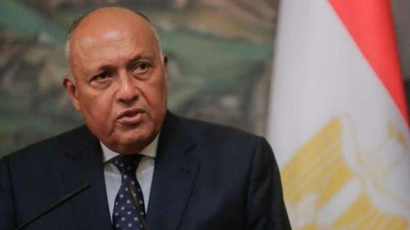 سامح شكري وزير الخارجية